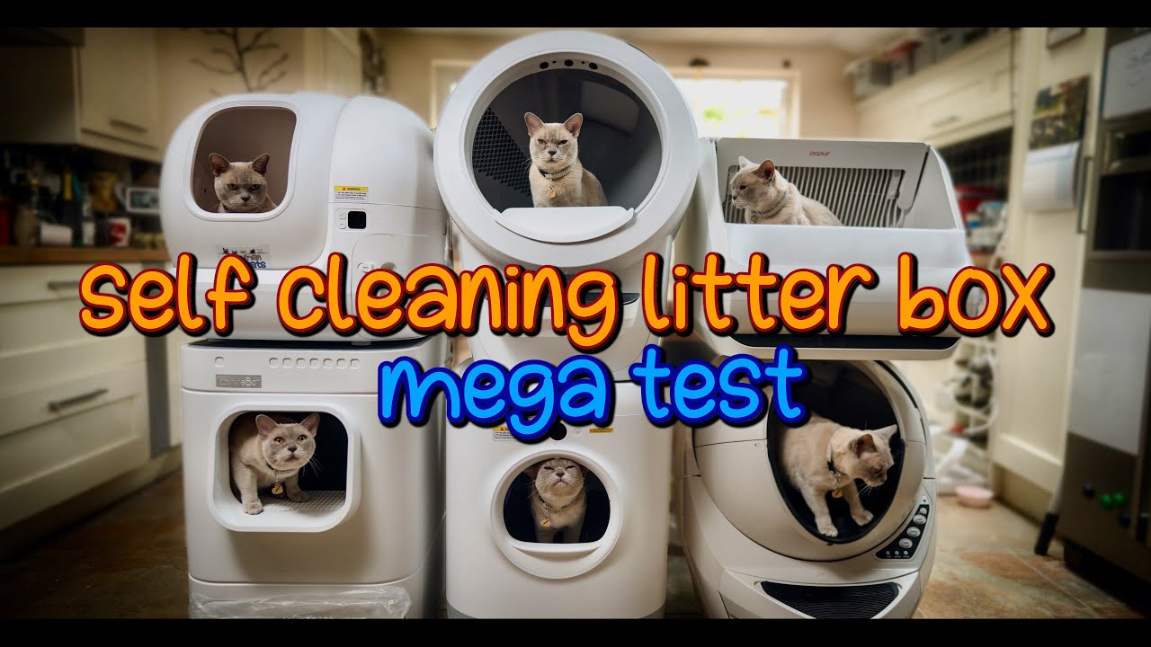 Litter-Robot 4 — thumbnail of a cited video review