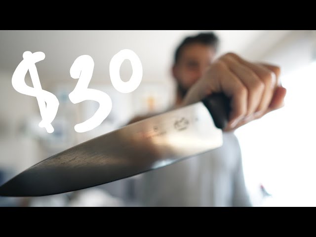 Victorinox Fibrox Pro — thumbnail of a cited video review