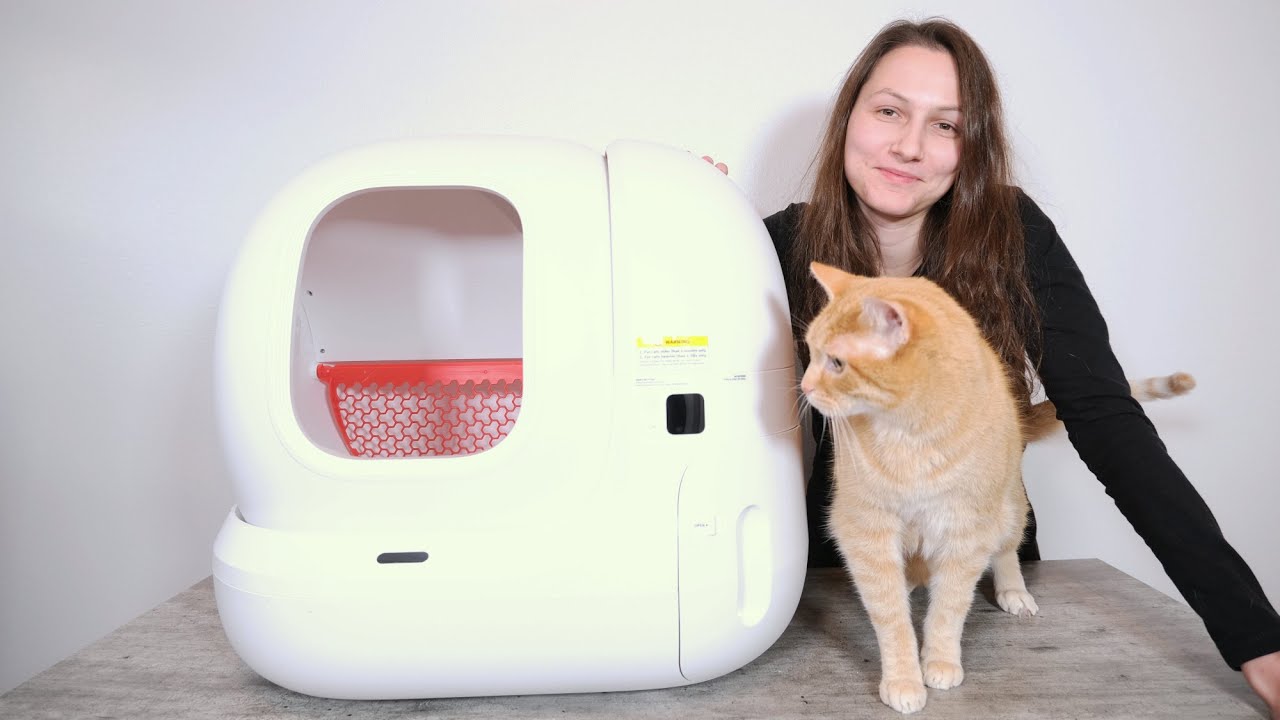 PETKIT Pura Max 2 — thumbnail of a cited video review