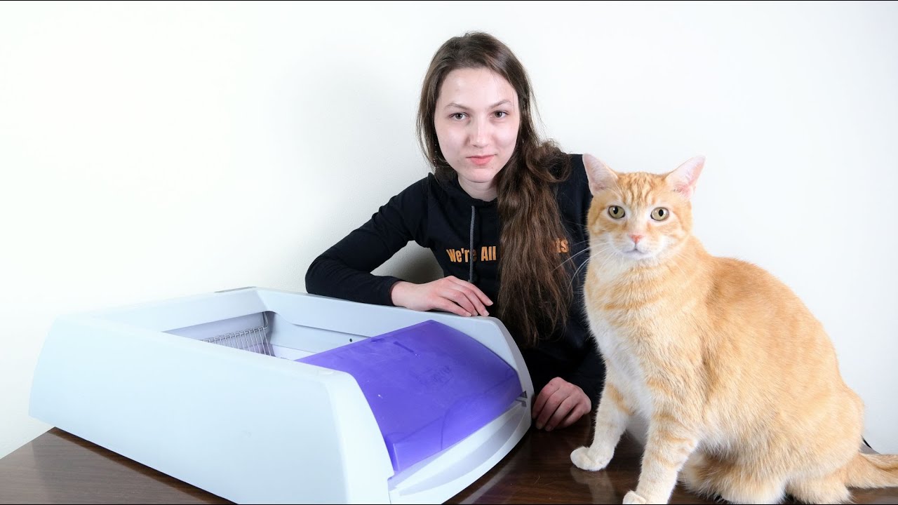PetSafe ScoopFree — thumbnail of a cited video review