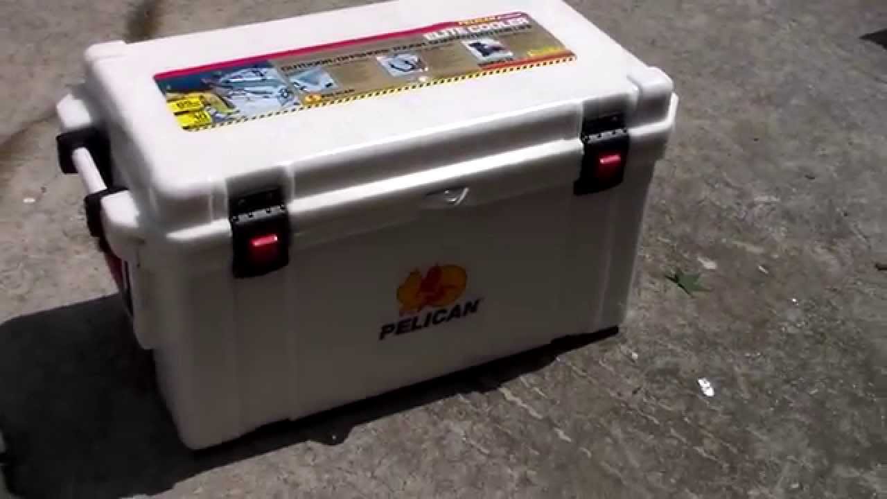 Pelican Elite 65 — thumbnail of a cited video review